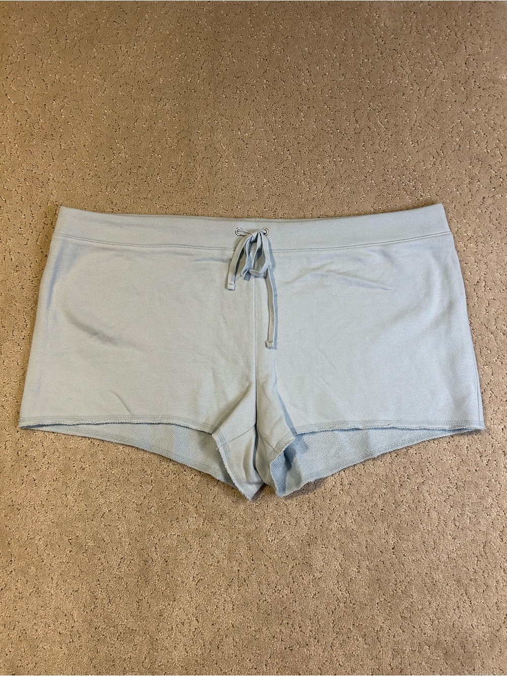 NWT Skims Drapey French Terry Shorts in Powder Blue Sweatpant Shorts Sz XL